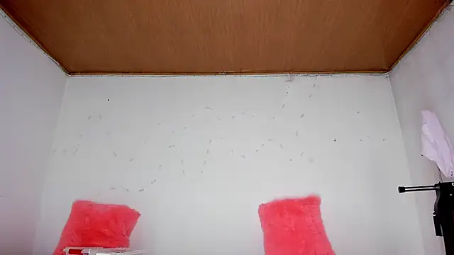 Snapshot of karol_kane chatting on 13, 2, 2026 karol kane online show from 13, 2, 2026