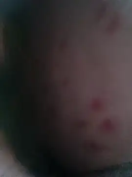 Aron1133 online show from 16, 3, 2026