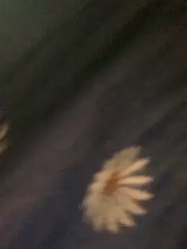 Snapshot of baeas-lan chatting on 6, 3, 2026 baeas-lan online show from 6, 3, 2026