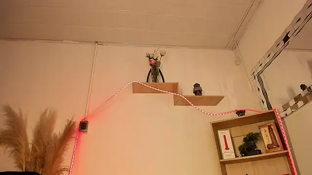 Tylla   online show from 9, 5, 2026