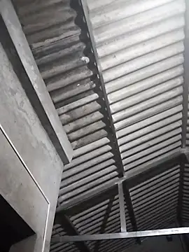 Baby flower 1 online show from 17, 3, 2026