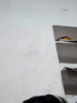 gita2006 online show from 28, 2, 2026