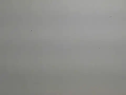 Snapshot of risu_00 chatting on 6, 3, 2026 risu 00 online show from 6, 3, 2026