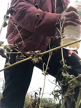 Nth5h online show from 11, 3, 2026