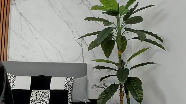 Amara Velvet  online show from 14, 7, 2026