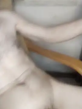 AndrewXSkyp online show from 17, 3, 2026