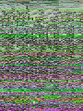 kana 0012 online show from 7, 3, 2026