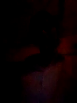 Snapshot of wifedesi7050 chatting on 5, 3, 2026 wifedesi7050 online show from 5, 3, 2026