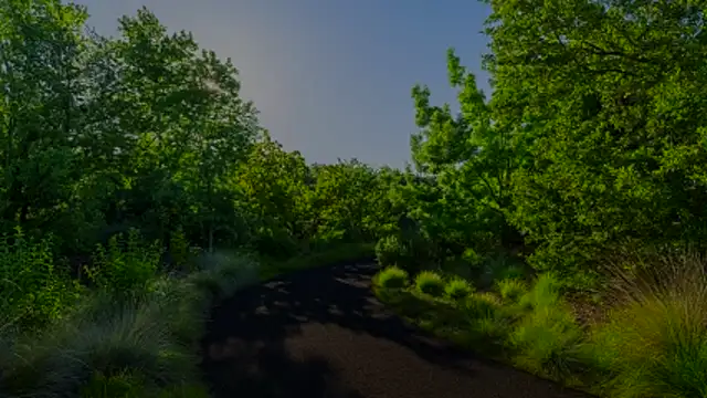 bbluchito online show from 19, 3, 2026