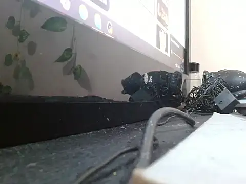 powderblu69 online show from 6, 5, 2026