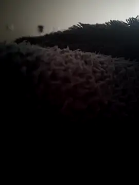 jass 123111 online show from 19, 3, 2026