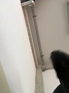 Snapshot of Stickmendez chatting on 12, 3, 2026 Stickmendez online show from 12, 3, 2026