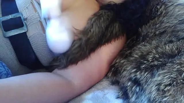 Snapshot of BunnyYT chatting on 10, 3, 2026 BunnyYT online show from 10, 3, 2026