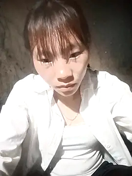 pic8800 online show from 18, 4, 2026