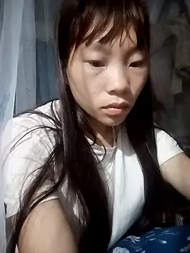 pic8800 online show from 29, 4, 2026