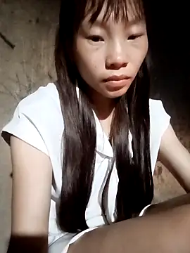 pic8800 online show from 3, 5, 2026