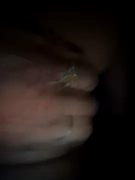 Snapshot of Rashmika_Mandana chatting on 18, 3, 2026 Rashmika Mandana online show from 18, 3, 2026