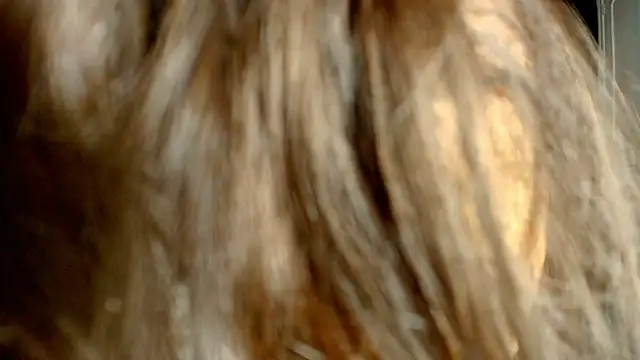 ambriosialove online show from 3, 3, 2026