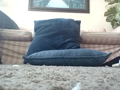 Snapshot of WorthingtonM3 chatting on 20, 3, 2026 WorthingtonM3 online show from 20, 3, 2026