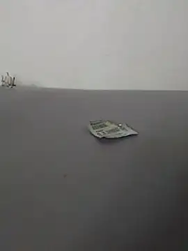 dandarapandorinha29 online show from 22, 3, 2026