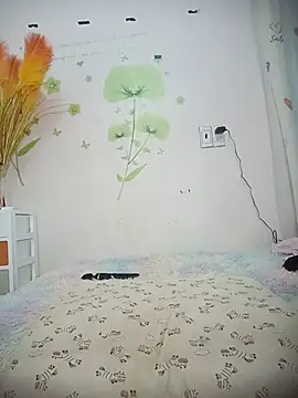 Meow cute online show from 6, 7, 2026
