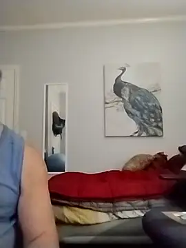 Snapshot of coestet chatting on 22, 5, 2026 coestet online show from 22, 5, 2026