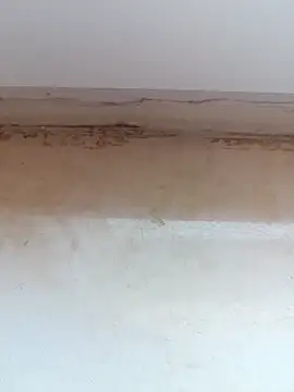 Snapshot of jeniferoo chatting on 11, 3, 2026 jeniferoo online show from 11, 3, 2026