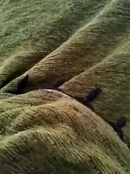 Snapshot of detasuta chatting on 7, 3, 2026 detasuta online show from 7, 3, 2026