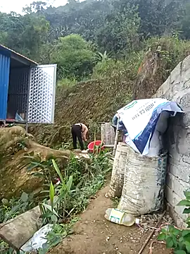 Snapshot of dualeo11 chatting on 12, 3, 2026 dualeo11 online show from 12, 3, 2026