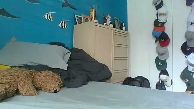 Snapshot of aloking2004 chatting on 17, 3, 2026 aloking2004 online show from 17, 3, 2026