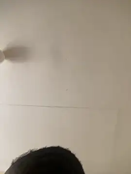 berl3 online show from 12, 3, 2026