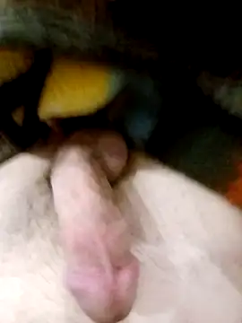 Snapshot of Adix_02six chatting on 10, 3, 2026 Adix 02six online show from 10, 3, 2026