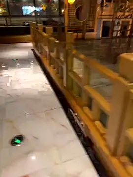 xiaoyu-10 online show from 14, 3, 2026