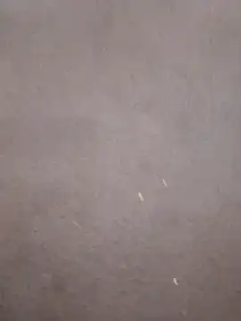 kavita-bhabhi-chut online show from 9, 3, 2026