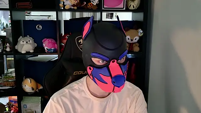 MellPUP online show from 11, 6, 2026