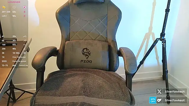 Snapshot of silverfawkesx chatting on 22, 3, 2026 silverfawkesx online show from 22, 3, 2026