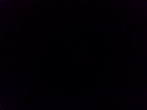 lizcata online show from 3, 6, 2026