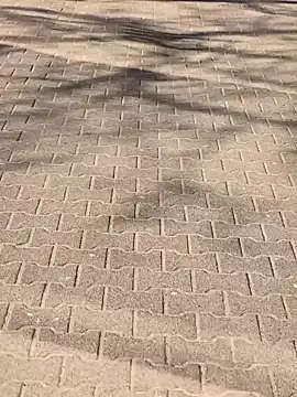 MarekPublicShow online show from 6, 3, 2026