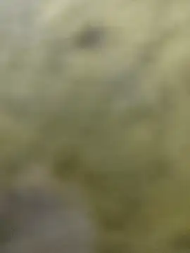 Snapshot of clayto77 chatting on 6, 3, 2026 clayto77 online show from 6, 3, 2026