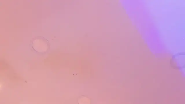 Katijis online show from 30, 4, 2026