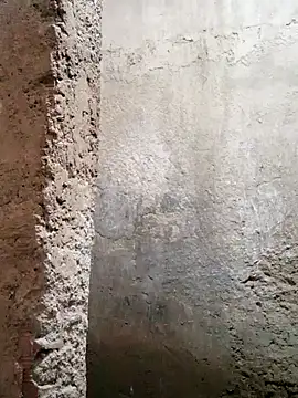 1997rojas online show from 6, 3, 2026