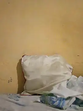 1997rojas online show from 10, 3, 2026