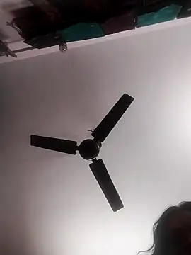 falgunidas58439 online show from 18, 3, 2026