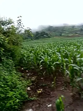 Snapshot of Yuhi3d chatting on 19, 6, 2026 Yuhi3d online show from 19, 6, 2026