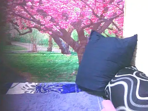 indianfiesta69 online show from 24, 3, 2026