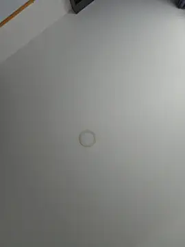 Snapshot of Victoria_Evanss chatting on 2, 8, 2026 Victoria Evanss online show from 2, 8, 2026