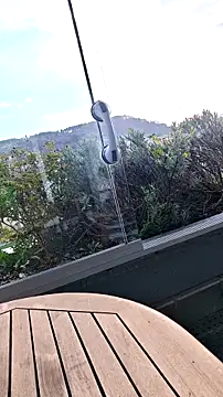 public streamer online show from 17, 3, 2026