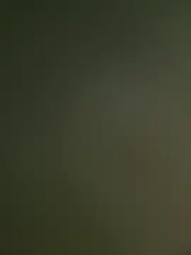 wesleymadeira online show from 24, 3, 2026