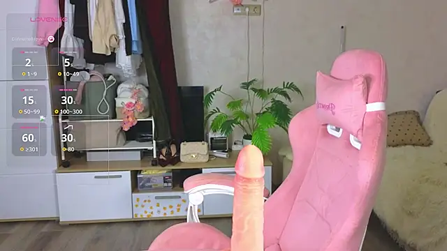 GoldenSunBunny online show from 4, 8, 2026
