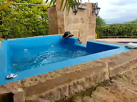 wildestatecouple online show from 17, 3, 2026